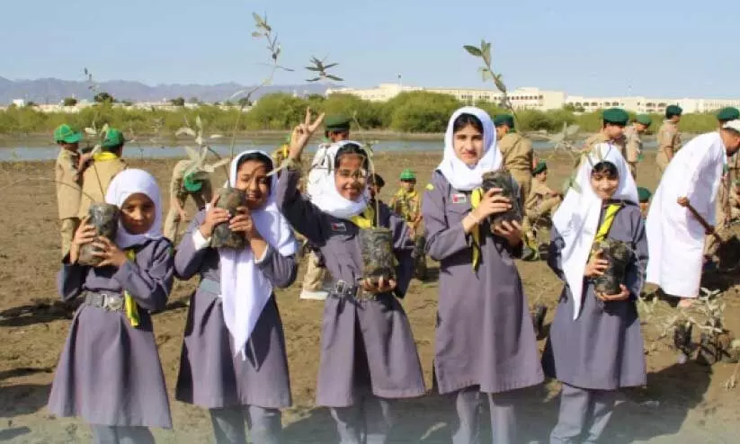 tree planting tree planting