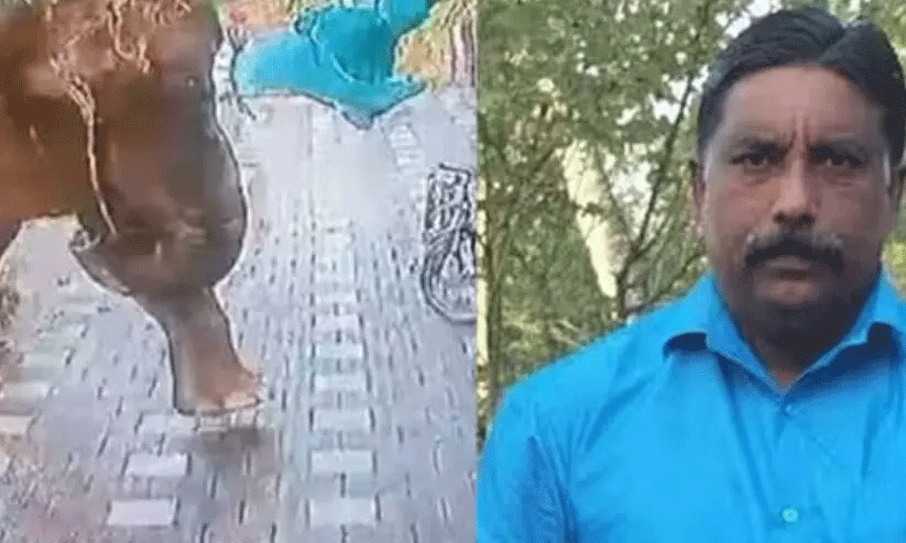 ajeesh mananthavadi ajeesh mananthavadi