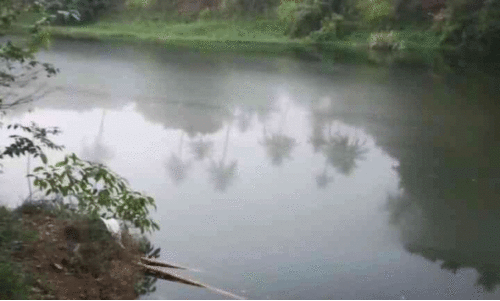 വാമനപുരം നദിയിൽ ഓയിലിന്‍റെ അംശം; പമ്പിങ് മണിക്കൂറുകളോളം നിർത്തി