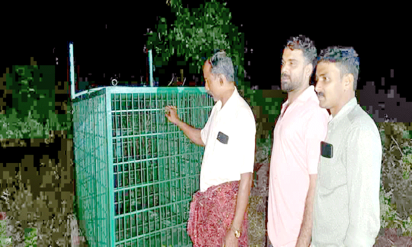 പുലിപ്പേടി: വനം വകുപ്പ് കണ്ടപ്പൻ ചാലിൽ കൂട് സ്ഥാപിച്ചു