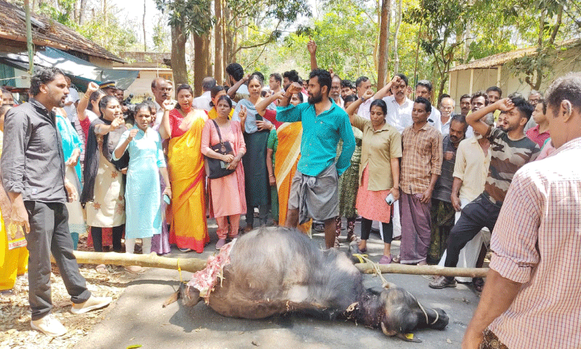 വ​ന്യ​മൃ​ഗ ശ​ല്യം; ന​ട​വ​യ​ൽ റോ​ഡ് ഉ​പ​രോ​ധ​ത്തി​ൽ 40 പേ​ർ​ക്കെ​തി​രെ കേ​സ്