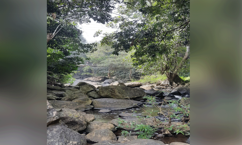 വ​റ്റി​വ​ര​ണ്ട് ജ​ല​സ്രോ​ത​സ്സു​ക​ൾ; തീ​റ്റ​യും വെ​ള്ള​വും തേ​ടി വ​ന്യ​ജീ​വി​ക​ളും നാ​ട്ടി​ലേ​ക്ക്