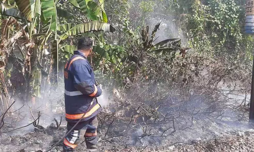 റെയിൽവേ ട്രാക്കിന് സമീപം തീപിടുത്തം റെയിൽവേ ട്രാക്കിന് സമീപം തീപിടുത്തം