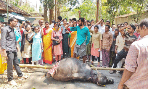 വ​ന്യ​മൃ​ഗ ശ​ല്യം; ന​ട​വ​യ​ൽ റോ​ഡ് ഉ​പ​രോ​ധ​ത്തി​ൽ 40 പേ​ർ​ക്കെ​തി​രെ കേ​സ്
