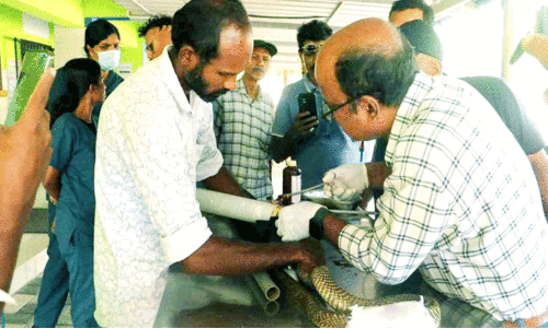 മണ്ണ് മാന്തി യന്ത്രം ത​ട്ടി പ​രി​ക്കേ​റ്റ മൂ​ർ​ഖ​ൻ പാ​മ്പി​ന് ശ​സ്ത്ര​ക്രി​യ
