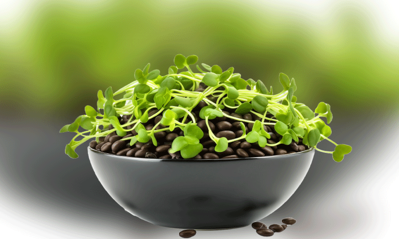 കു​ഞ്ഞ​ൻ ഇ​ല​ക​ളു​ടെ വ​മ്പ​ൻ​ലോ​കം