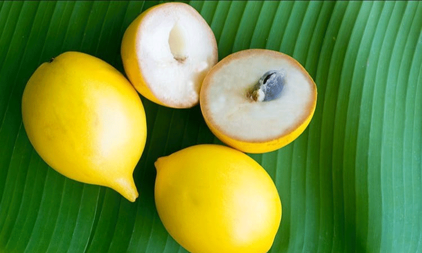 മാധുര്യമേറെ അബിയുവിന്