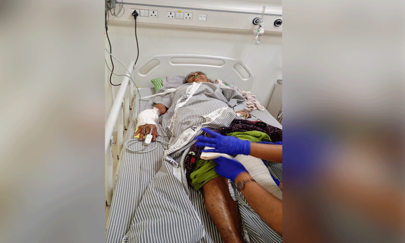 പട്ടാപ്പകൽ കാട്ടുപന്നി ആക്രമണം; റിട്ട. അധ്യാപികക്ക് ഗുരുതര പരിക്ക് പട്ടാപ്പകൽ കാട്ടുപന്നി ആക്രമണം; റിട്ട. അധ്യാപികക്ക് ഗുരുതര പരിക്ക്