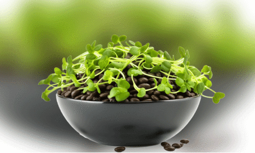 കു​ഞ്ഞ​ൻ ഇ​ല​ക​ളു​ടെ വ​മ്പ​ൻ​ലോ​കം