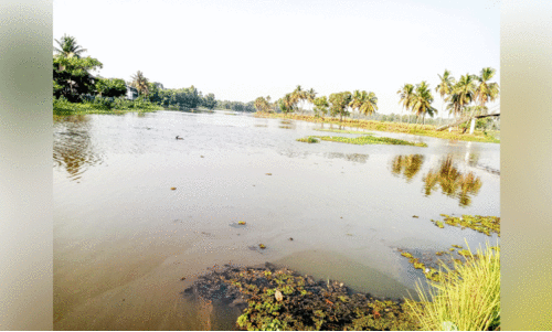 kadambrayar kadambrayar