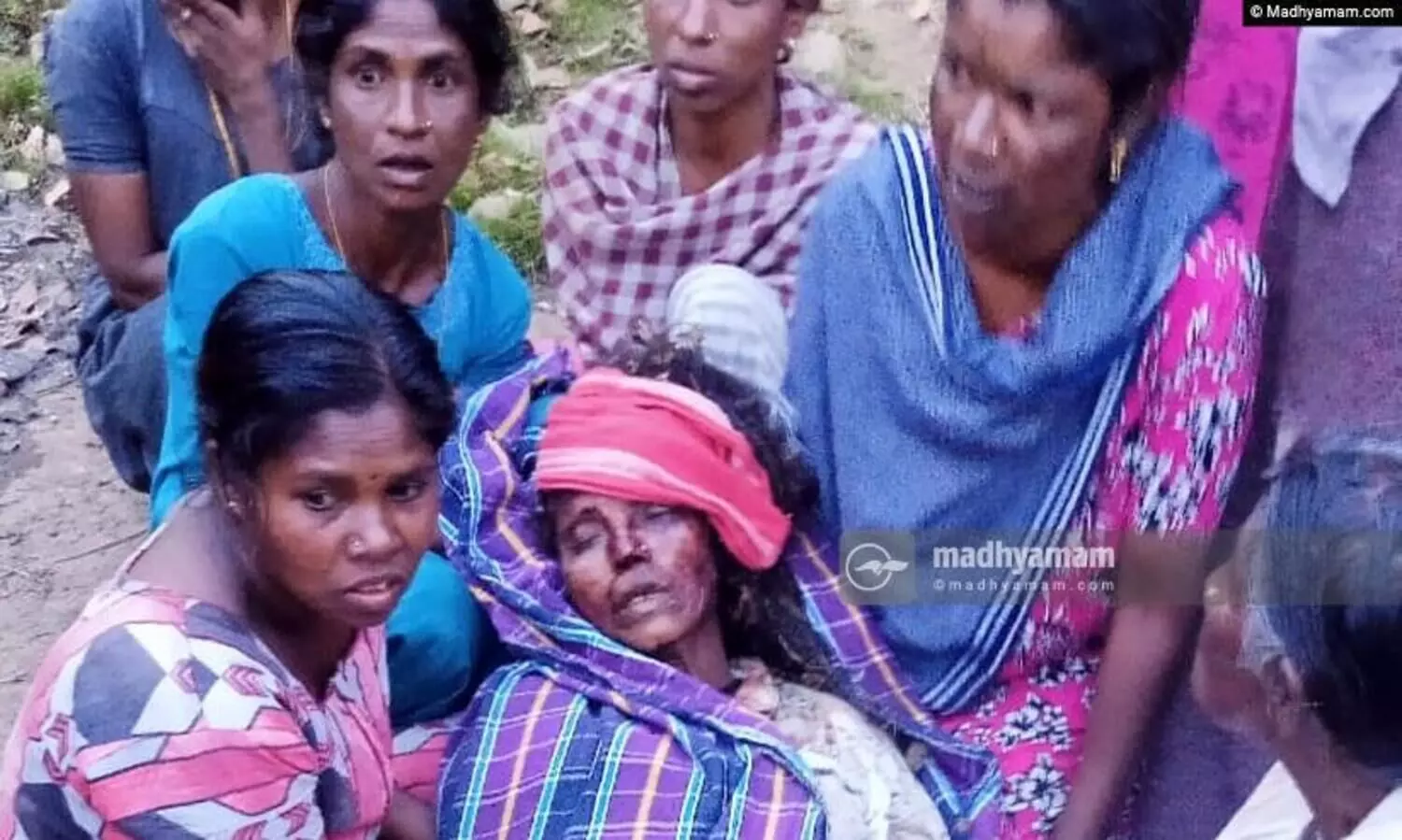 Wild Elephant attack-veera