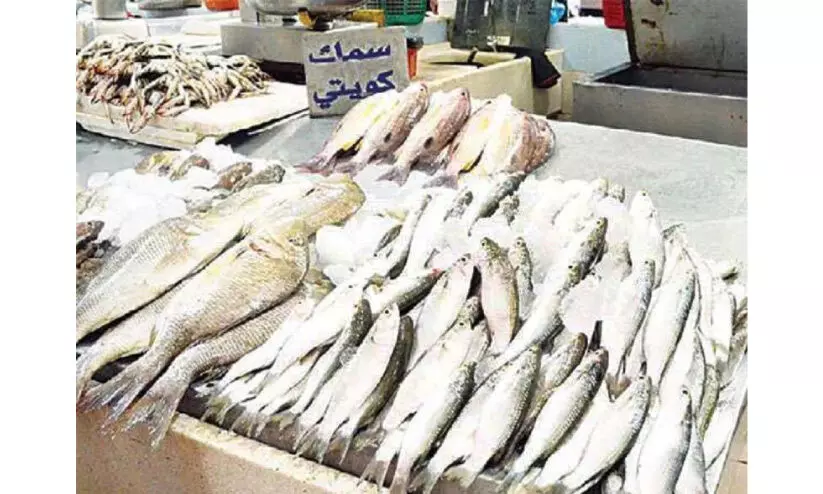 ഒ​രു വ​ര്‍ഷ​ത്തി​നി​ട​യി​ല്‍ കു​വൈ​ത്തി​ല്‍ ഉ​പ​യോ​ഗി​ച്ച​ത് 2.8000 ട​ൺ നാ​ട​ൻ മ​ത്സ്യം