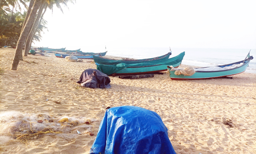 അ​യ​ല​ക്കു​ഞ്ഞു​ങ്ങ​ൾ മാ​ത്രം; ആ​ശ​ങ്ക​യി​ൽ മ​ത്സ്യ​ത്തൊ​ഴി​ലാ​ളി​ക​ൾ