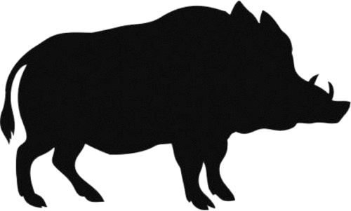 മലയോരം വന്യജീവി ഭീഷണിയിൽ മലയോരം വന്യജീവി ഭീഷണിയിൽ