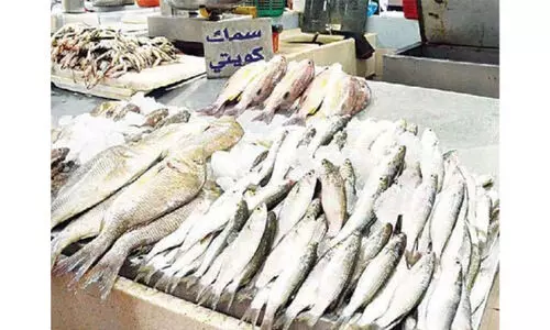 ഒ​രു വ​ര്‍ഷ​ത്തി​നി​ട​യി​ല്‍ കു​വൈ​ത്തി​ല്‍ ഉ​പ​യോ​ഗി​ച്ച​ത് 2.8000 ട​ൺ നാ​ട​ൻ മ​ത്സ്യം