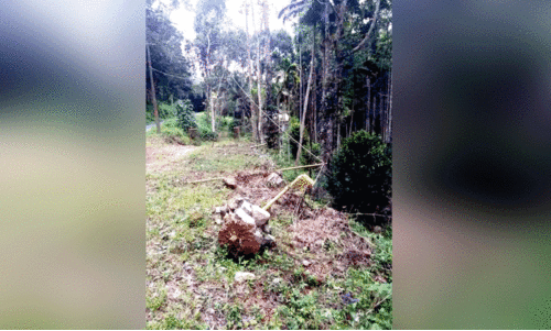 നിരീക്ഷണ കാമറ അഴിമതിയിൽ വിജിലന്‍സ് അ​േന്വഷണം