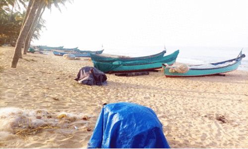 അ​യ​ല​ക്കു​ഞ്ഞു​ങ്ങ​ൾ മാ​ത്രം; ആ​ശ​ങ്ക​യി​ൽ മ​ത്സ്യ​ത്തൊ​ഴി​ലാ​ളി​ക​ൾ