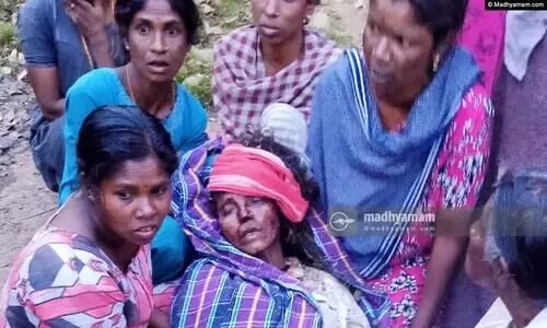 Wild Elephant attack-veera