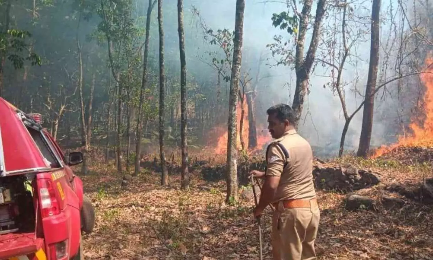 പുതുശ്ശേരിമലയിൽ റബർ തോട്ടത്തിന് തീപിടിച്ചു; വീടുകളിലേക്കും തീ വ്യാപിച്ചു