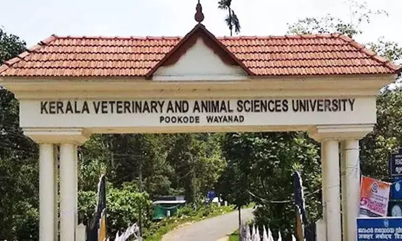 സിദ്ധാർഥന്റെ മരണം: നാലു വിദ്യാർഥികൾക്കായി ലുക്കൗട്ട് നോട്ടീസ് സിദ്ധാർഥന്റെ മരണം: നാലു വിദ്യാർഥികൾക്കായി ലുക്കൗട്ട് നോട്ടീസ്