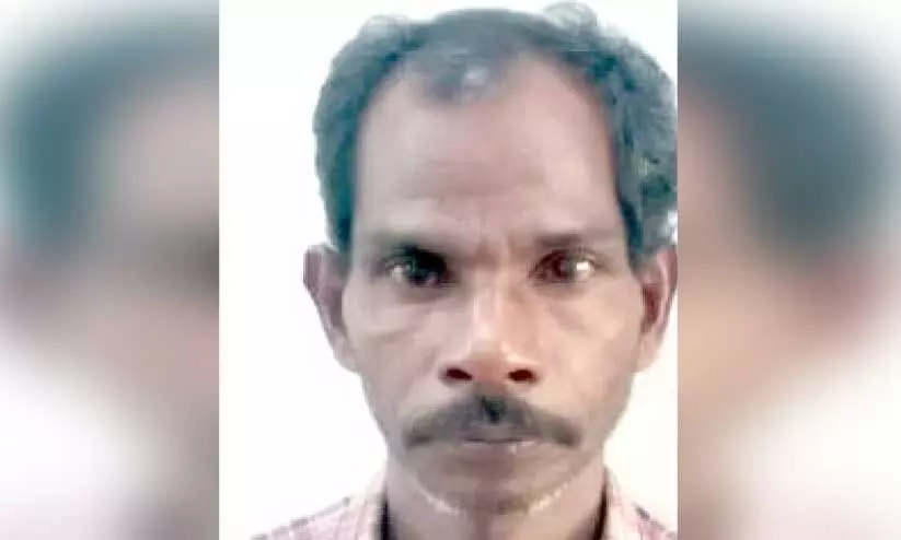 ഷിജി ഷിജി