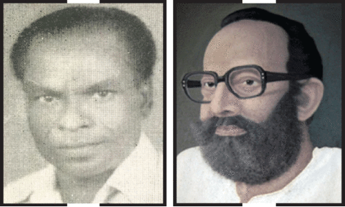 ദ്വയാംഗത്വത്തിന്‍റെ ക്വയിലോൺ പഴമ