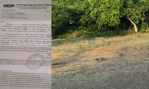 അട്ടപ്പാടിയിലെ ആദിവാസി കുടുംബത്തിന്  5.59 ലക്ഷം രൂപയുടെ വൈദ്യുതി ബില്ല്