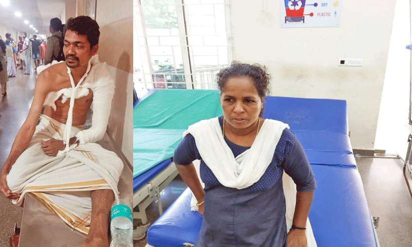 കാട്ടുപന്നിയുടെ ആക്രമണത്തിൽ മൂന്നുപേർക്ക് പരിക്ക് കാട്ടുപന്നിയുടെ ആക്രമണത്തിൽ മൂന്നുപേർക്ക് പരിക്ക്