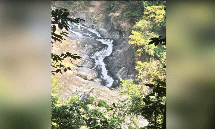 കത്തുന്ന വേനലിൽ ജലസ്രോതസ്സുകൾ വരളുന്നു കത്തുന്ന വേനലിൽ ജലസ്രോതസ്സുകൾ വരളുന്നു