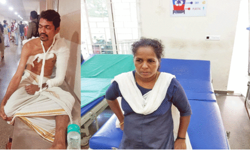 കാ​ട്ടു​പ​ന്നി​യു​ടെ ആ​ക്ര​മ​ണ​ത്തി​ൽ മൂ​ന്നു​പേ​ർ​ക്ക്​ പ​രി​ക്ക്​