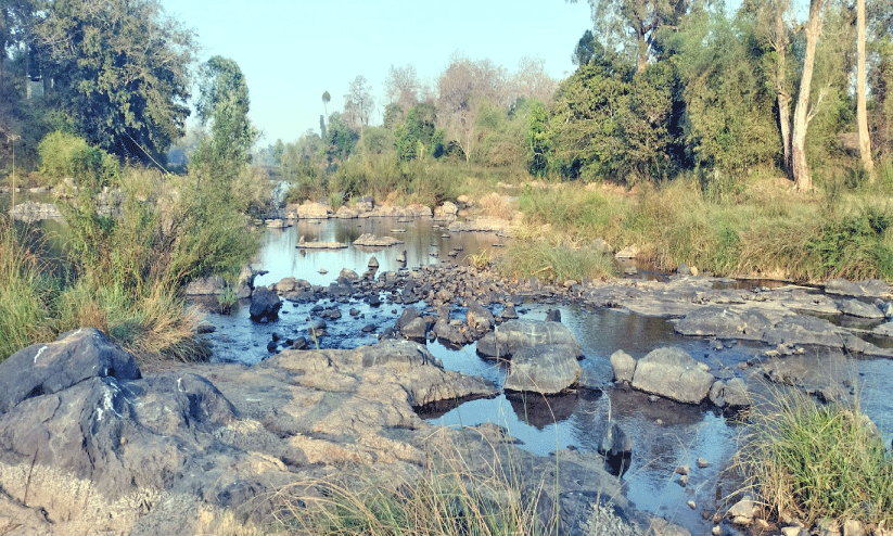 വേനൽച്ചൂടിൽ വയനാട് വേനൽച്ചൂടിൽ വയനാട്