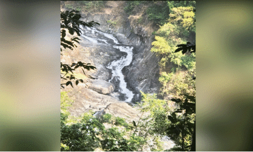 കത്തുന്ന വേനലിൽ ജലസ്രോതസ്സുകൾ വരളുന്നു