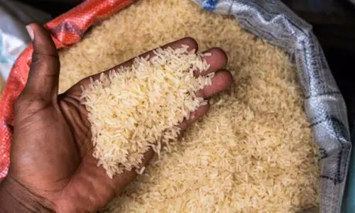 കെ-റൈസ്​ ഉടൻ എത്തു​മെന്ന്​ മ​ന്ത്രി ജി.​ആ​ർ. അ​നി​ൽ