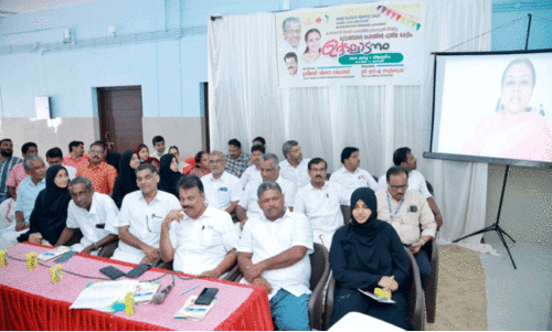 minister veena george in video conference