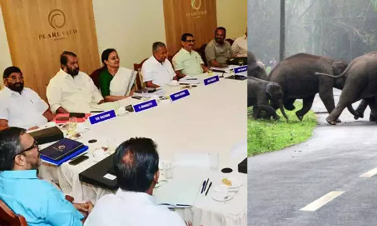 മനുഷ്യ- വന്യ ജീവി സംഘര്‍ഷം സംസ്ഥാന പ്രത്യേക ദുരന്തമായി പ്രഖ്യാപിച്ചു