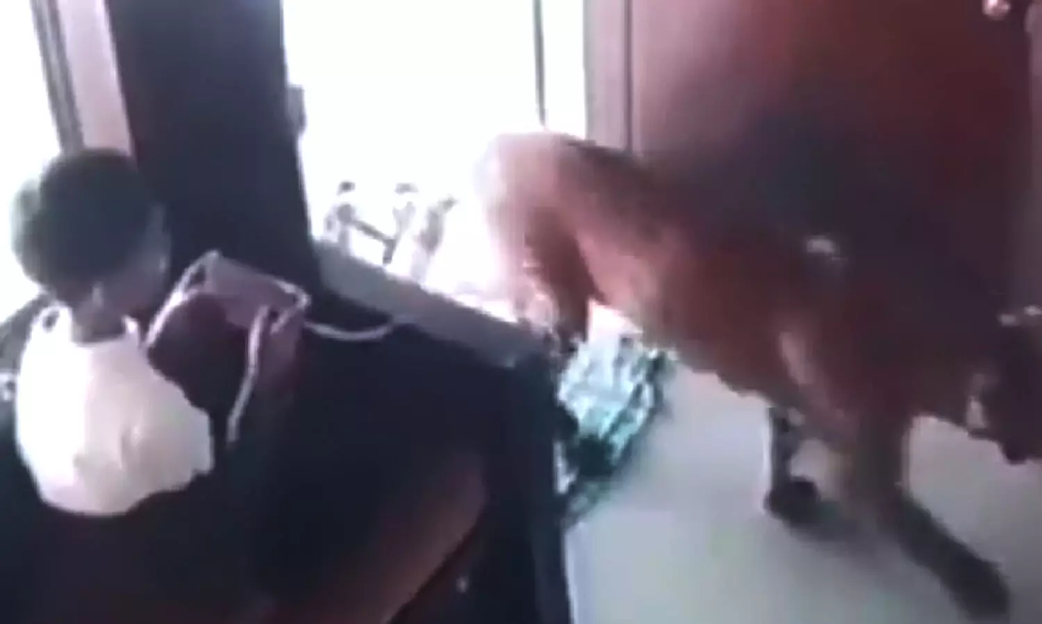 തൊട്ടടുത്ത് പുള്ളിപ്പുലി; വാതിലടച്ച് അകത്താക്കി 12കാരൻ അദ്ഭുതകരമായി രക്ഷപ്പെട്ടു