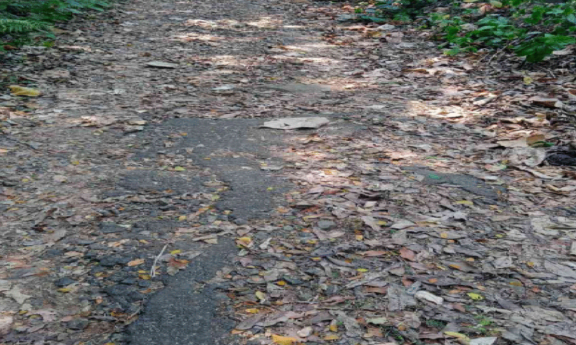 Matamba road, Matamba road,