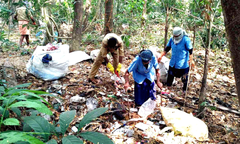 waste removed waste removed