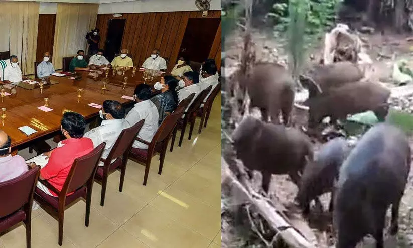 കാട്ടുപന്നികളെ നശിപ്പിക്കാനുള്ള ഉത്തരവ് ഒരു വര്‍ഷത്തേക്ക് ദീര്‍ഘിപ്പിക്കാൻ മന്ത്രിസഭ തീരുമാനം