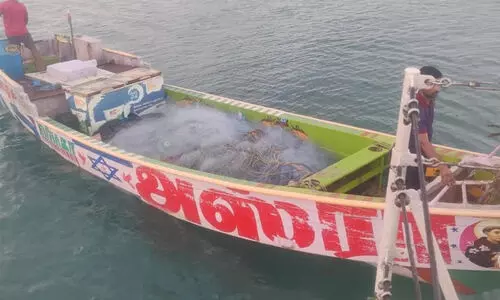 99 kg of hashish worth ₹108 crore seized near Mandapam during bid to smuggle to Sri Lanka