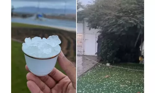 ക​ന​ത്ത മ​ഴ; അ​ൽ​ഐ​നി​ൽ വീ​ണ്ടും ആ​ലി​പ്പ​ഴ​വ​ർ​ഷം