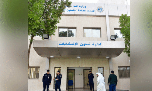 national assembly election representation image