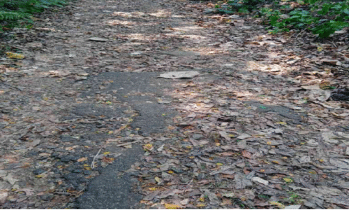 Matamba road, Matamba road,