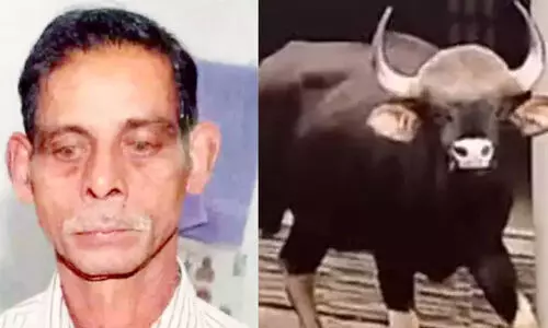 പ്രതിഷേധം അവസാനിപ്പിച്ചു; കാട്ടുപോത്ത് ആക്രമണത്തിൽ മരിച്ച അബ്രഹാമിന്റെ പോസ്റ്റ് മോർട്ടം വ്യാഴാഴ്ച