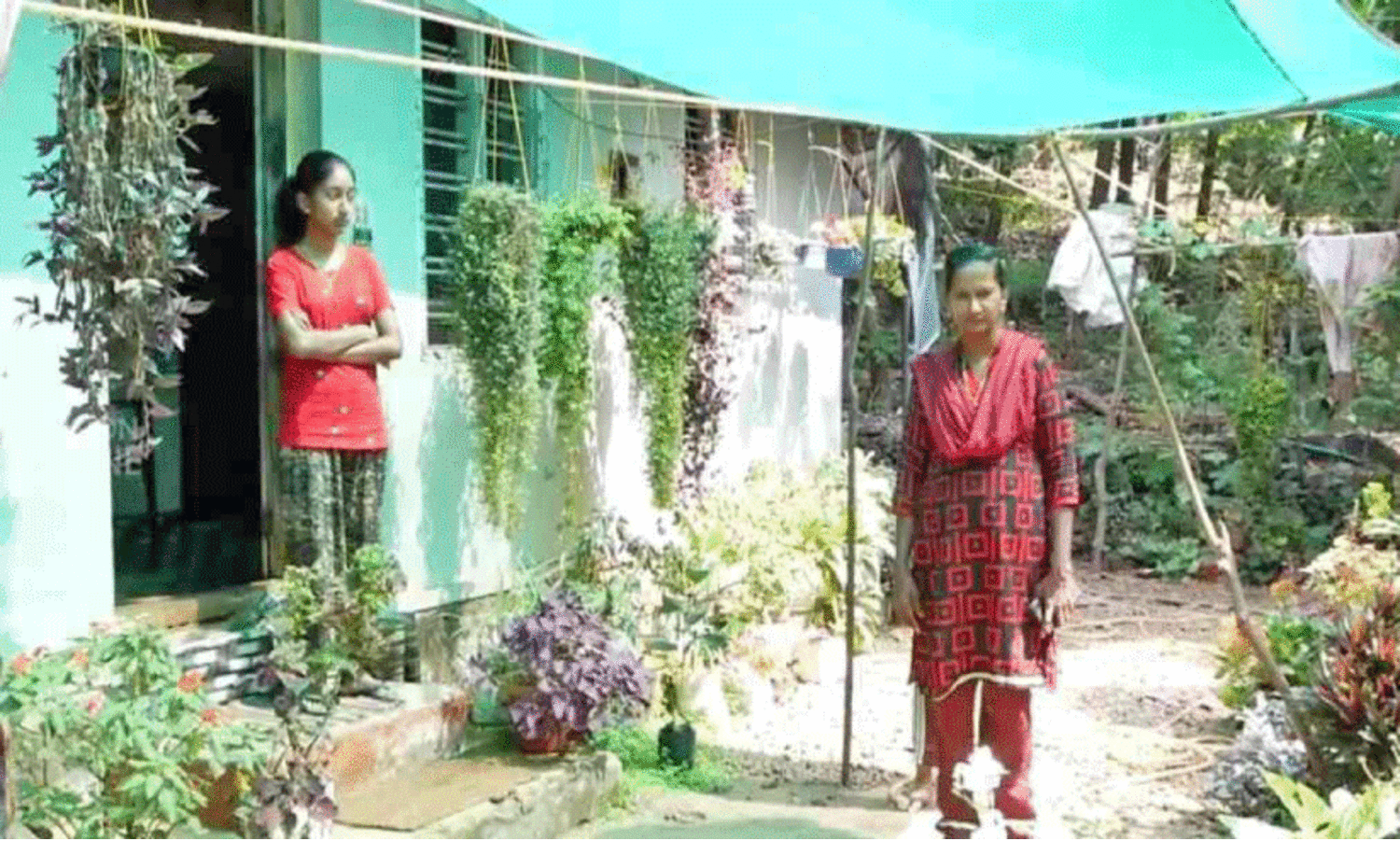 കാട്ടാന ഭീതി; കൃഷിയിടങ്ങളിലിറങ്ങാൻ കഴിയുന്നില്ല;   തൊട്ടിപ്പാലത്ത് കുടുംബങ്ങൾ പലായനം തുടങ്ങി