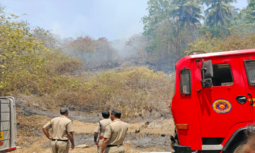 കക്കയം വനത്തിൽ തീപിടിത്തം; അഞ്ച് ഏക്കറോളം കത്തിനശിച്ചു കക്കയം വനത്തിൽ തീപിടിത്തം; അഞ്ച് ഏക്കറോളം കത്തിനശിച്ചു