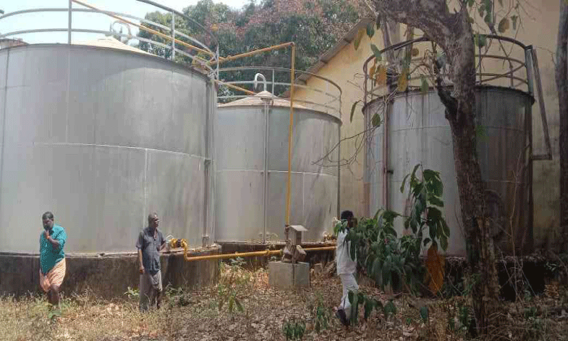 മാർക്കറ്റിങ് സംവിധാനത്തിലെ പാളിച്ച; നാളികേര കോർപറേഷനിൽ വെളിച്ചെണ്ണ കെട്ടിക്കിടക്കുന്നു മാർക്കറ്റിങ് സംവിധാനത്തിലെ പാളിച്ച; നാളികേര കോർപറേഷനിൽ വെളിച്ചെണ്ണ കെട്ടിക്കിടക്കുന്നു