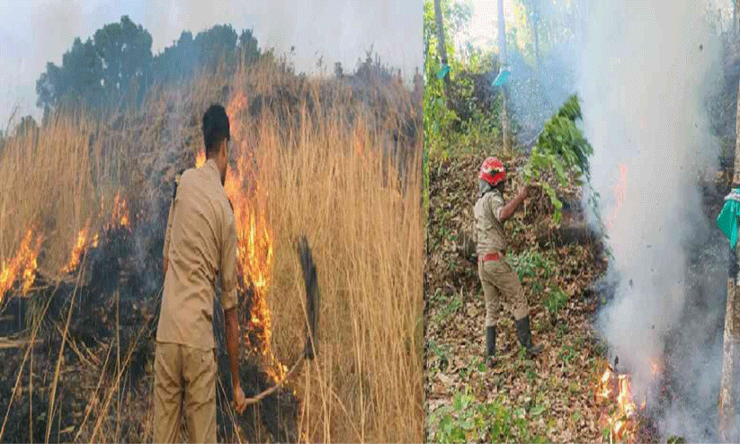 വെള്ളാണിക്കൽ പാറയിലും റബർതോട്ടത്തിലും തീപിടിത്തം