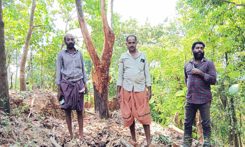 കാട്ടാനയുടെ ആക്രമണത്തിൽ നിന്ന് തലനാരിഴക്ക് രക്ഷപ്പെട്ട സ്ഥലമുടമകളായ കർഷകർ കാട്ടാനയുടെ ആക്രമണത്തിൽ നിന്ന് തലനാരിഴക്ക് രക്ഷപ്പെട്ട സ്ഥലമുടമകളായ കർഷകർ