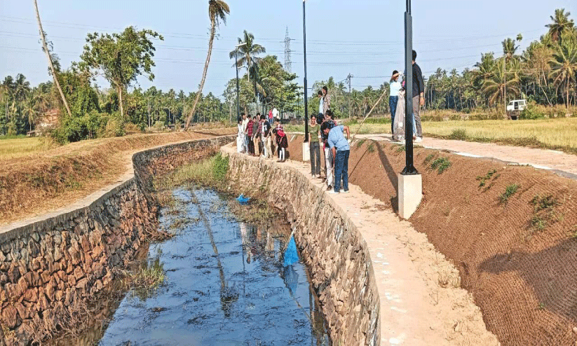 തെളിനീരൊഴുകി കാനാമ്പുഴ